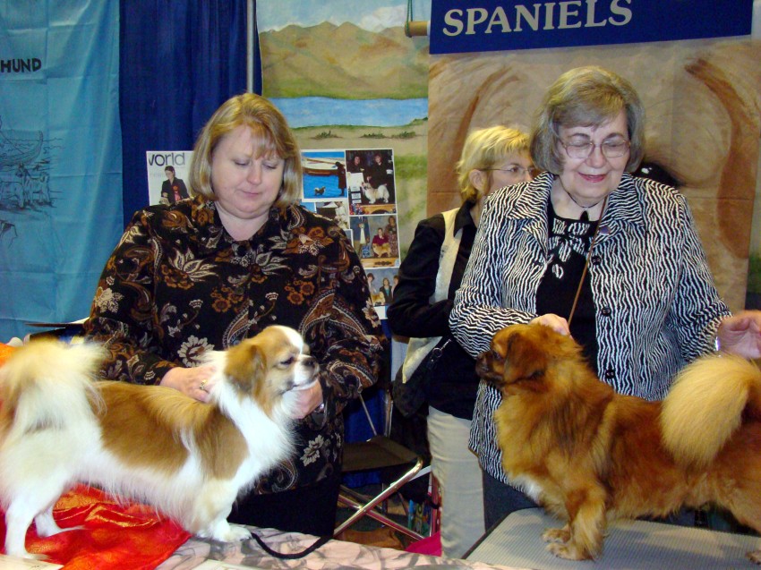 'BOND', 'Russell' & Owner/Handler, Kathryn Phillips, were AKC Meet The Breed Volunteers at the 2011 AKC/Eukanuba National Championship in Orlando, FL