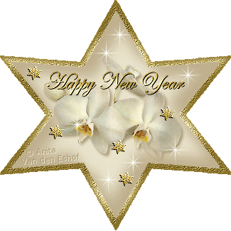 Click on the STAR to visit our 'New Year Site'